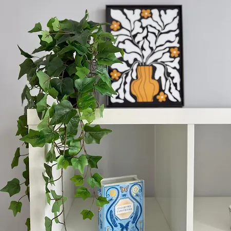 Apartament Bolhao Luxe Retreat 2 Porto